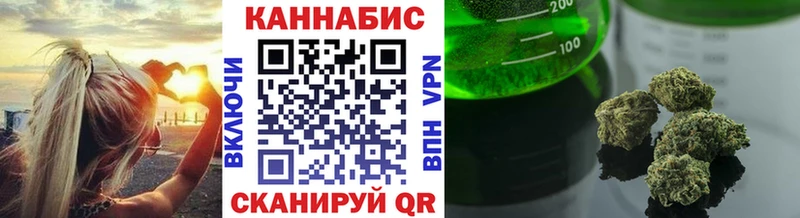 Купить где  Иннополис  Конопля SATIVA & INDICA 